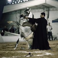 mohamed_elpitar