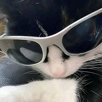 original sound - its_deleter