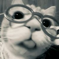 TikTok Account - https://p16-sg.tiktokcdn.com/tos-alisg-avt-0068/d47ccfba4e242ed80049389eebdebd00~tplv-tiktokx-cropcenter:200:200.jpeg