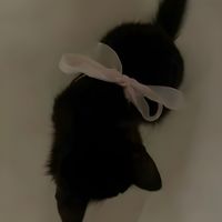 mna__000