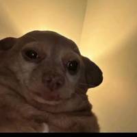 TikTok Account Photo