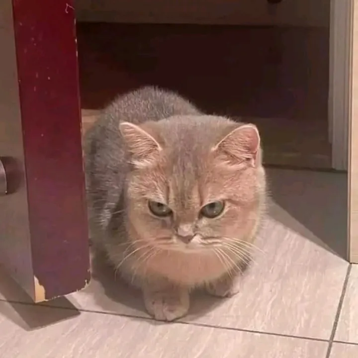 itsmezai._