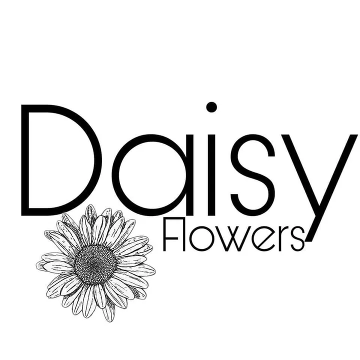 daisy_flowers_n1