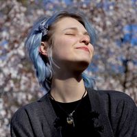 Котики анонс