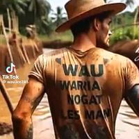 wau.ice