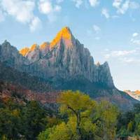 TikTok Account - https://p16-sg.tiktokcdn.com/tos-alisg-avt-0068/d6d0f225c471e120766d483839b287ef~tplv-tiktokx-cropcenter-q:200:200:q70.jpg