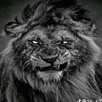 mralone505