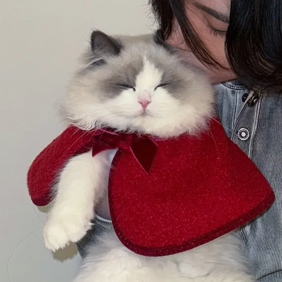 lulu_cat_0721