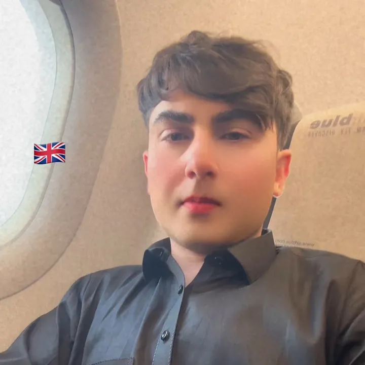 ansiroffical