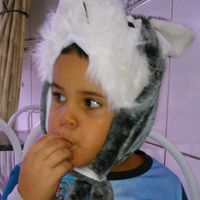 josy.silva7052