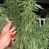 TikTok Account - https://p16-sg.tiktokcdn.com/tos-alisg-avt-0068/d839af5a59a8454f7b18403914140a0f~tplv-tiktokx-cropcenter:200:200.jpeg