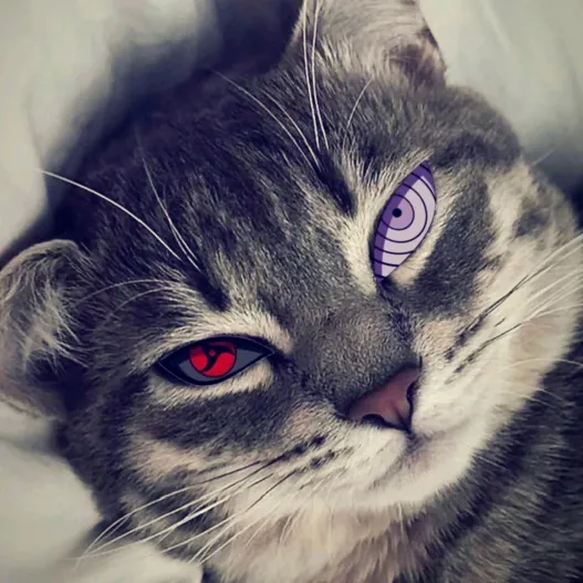 herulckep