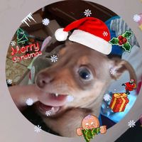 TikTok Account - https://p16-sg.tiktokcdn.com/tos-alisg-avt-0068/d8f3af7b0e8275627dec3aed6faa5e0e~tplv-tiktokx-cropcenter:200:200.jpeg