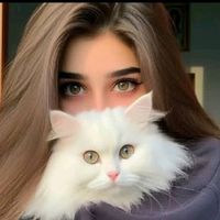 TikTok Account - https://p16-sg.tiktokcdn.com/tos-alisg-avt-0068/d93402848b62ab5817a5e4f269976ca8~tplv-tiktokx-cropcenter:200:200.jpeg