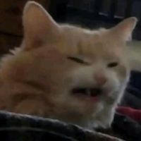 Sound image
