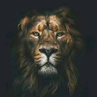 TikTok Account - https://p16-sg.tiktokcdn.com/tos-alisg-avt-0068/dac7aa21ed7d46fc858c793980b3c29f~tplv-tiktokx-cropcenter-q:200:200:q70.jpg