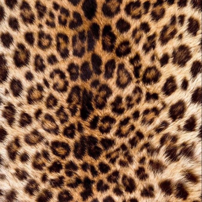 tigress.s2008
