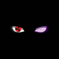 TikTok Account Photo