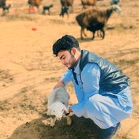 TikTok Account Photo