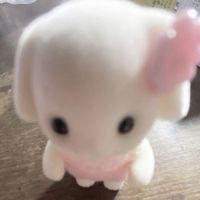 TikTok Account - https://p16-sg.tiktokcdn.com/tos-alisg-avt-0068/de58bc93eae846ae3ec7fd58ee44cdf6~tplv-tiktokx-cropcenter:200:200.jpeg