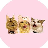 TikTok Account Photo