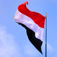 original sound - o_6102