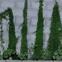 TikTok Account - https://p16-sg.tiktokcdn.com/tos-alisg-avt-0068/df31284511c630b485c262d4f9338518~tplv-tiktokx-cropcenter:200:200.jpeg