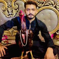 motkasaman1