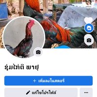 user6056160038130