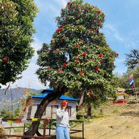 TikTok Account - https://p16-sg.tiktokcdn.com/tos-alisg-avt-0068/e0d24ac027417d792cf15d7f4a0fea79~tplv-tiktokx-cropcenter:200:200.jpeg