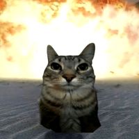 Sound image