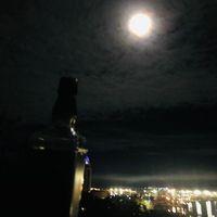 original sound - _pstvibes