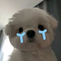 haru_toraku