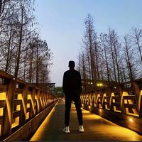 liping281