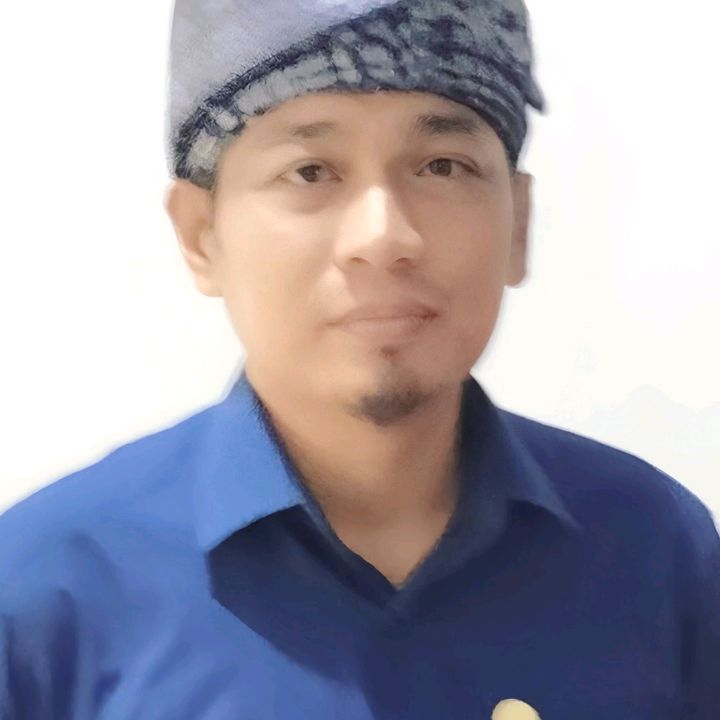 vizamx