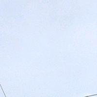 オリジナル楽曲 - 🪼