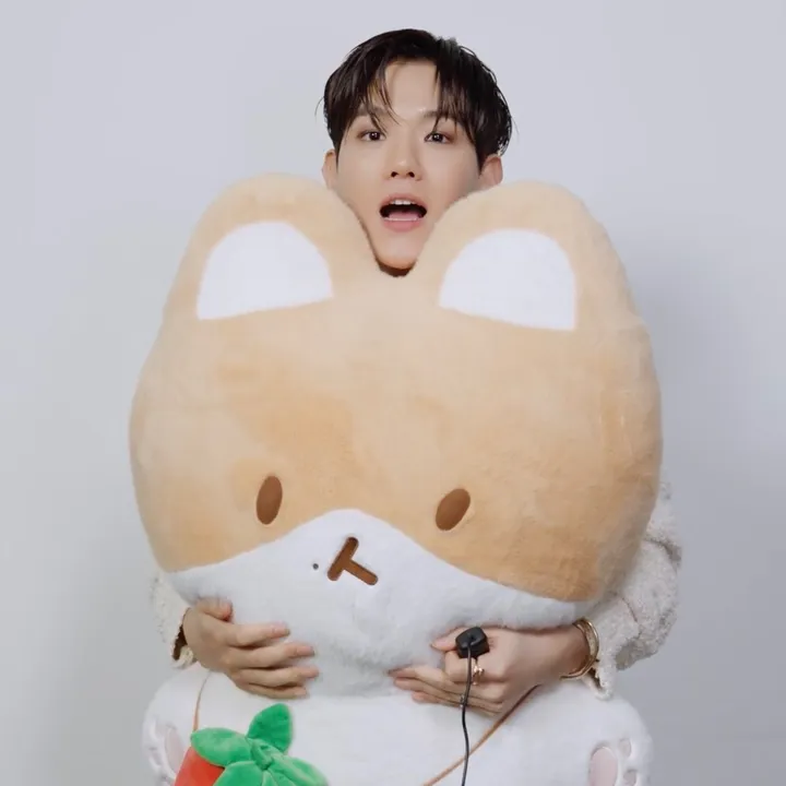 ysbbh617