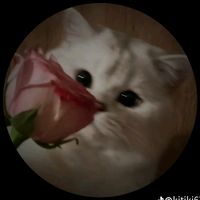 Sound image