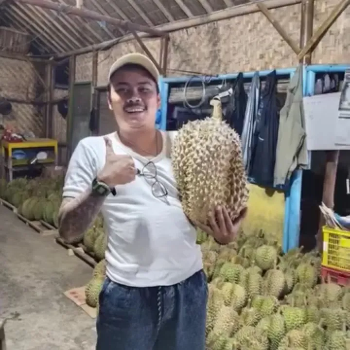 doyan_durian