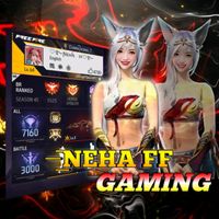 nehaak19