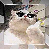 TikTok Account - https://p16-sg.tiktokcdn.com/tos-alisg-avt-0068/e87afe801b070ab0ab3c47b36363a395~tplv-tiktokx-cropcenter-q:200:200:q70.jpg