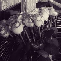 19_madamm