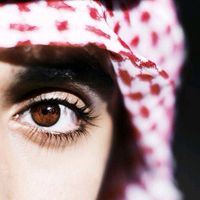 TikTok Account - https://p16-sg.tiktokcdn.com/tos-alisg-avt-0068/e8a6c5dfc57c3c011d67c809bd662ccc~tplv-tiktokx-cropcenter:200:200.jpeg