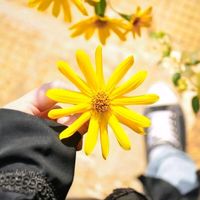 TikTok Account - https://p16-sg.tiktokcdn.com/tos-alisg-avt-0068/e9b850e436d33eb7cb42764da73f9779~tplv-tiktokx-cropcenter:200:200.jpeg