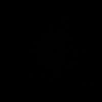 alineduarte014