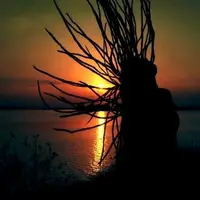 TikTok Account Photo