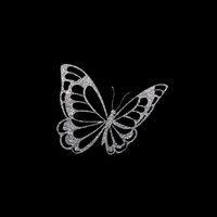 xx_54ki