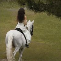 TikTok Account - meinkonhun1