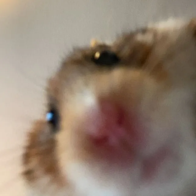 hbdhbdll1