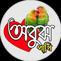 TikTok Account - https://p16-sg.tiktokcdn.com/tos-alisg-avt-0068/ec51b5a0d77062b9315214d049427eca~tplv-tiktokx-cropcenter:200:200.jpeg